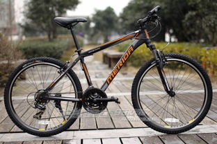 美利達(dá)自行車請問哪一款的 浮雕 標(biāo)志是凸出來的