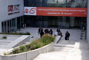 千里獨行,比國利時 持續又緩慢地更新 更新