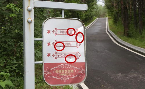 天府公園 幸福公園遭游客惡意破壞,市民 這種行為讓人心寒